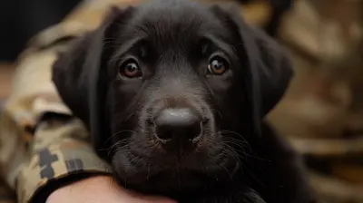 How Animals and Pet Therapy Aid PTSD Recovery