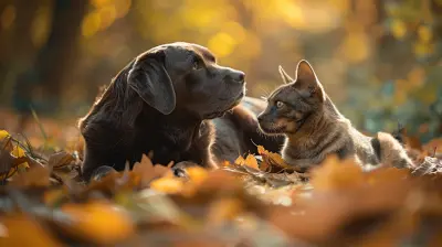 How Animals and Pet Therapy Aid PTSD Recovery