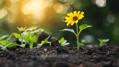 How to Cultivate a Growth Mindset for Mental Toughness