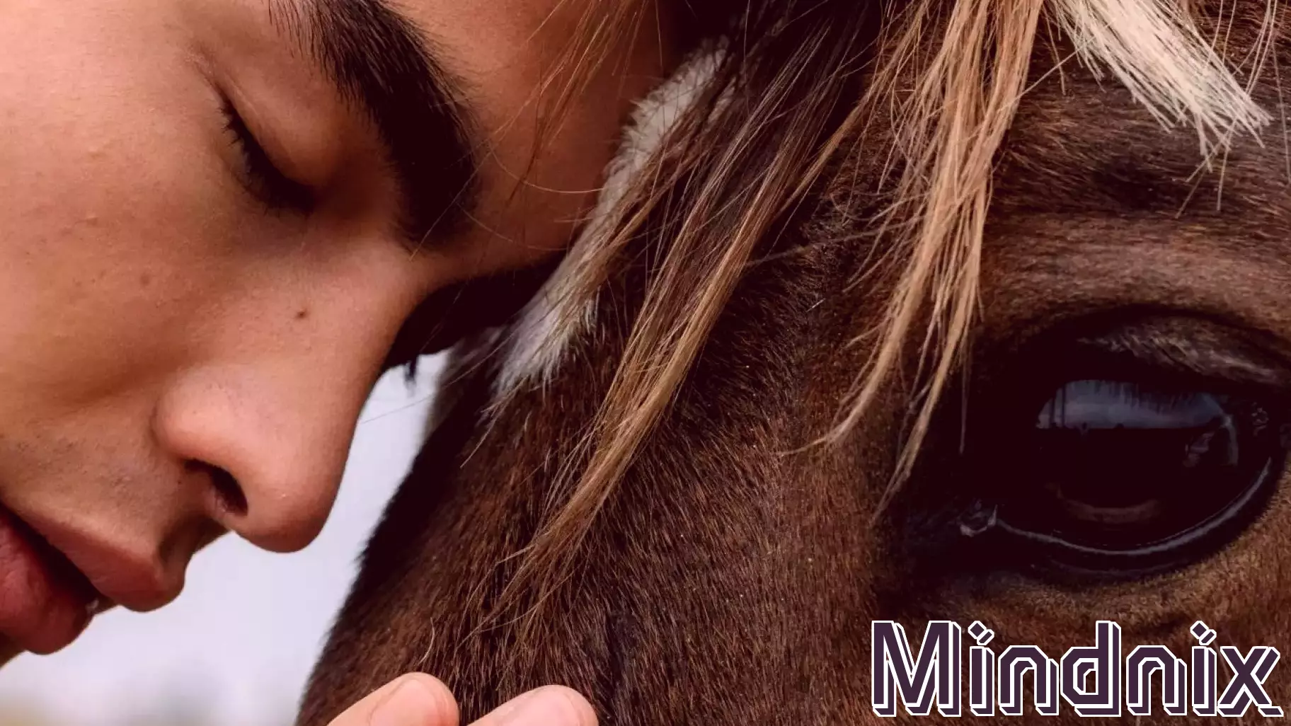 Cultivating Coexistence: Bridging the Gap Between Humans and Animals
