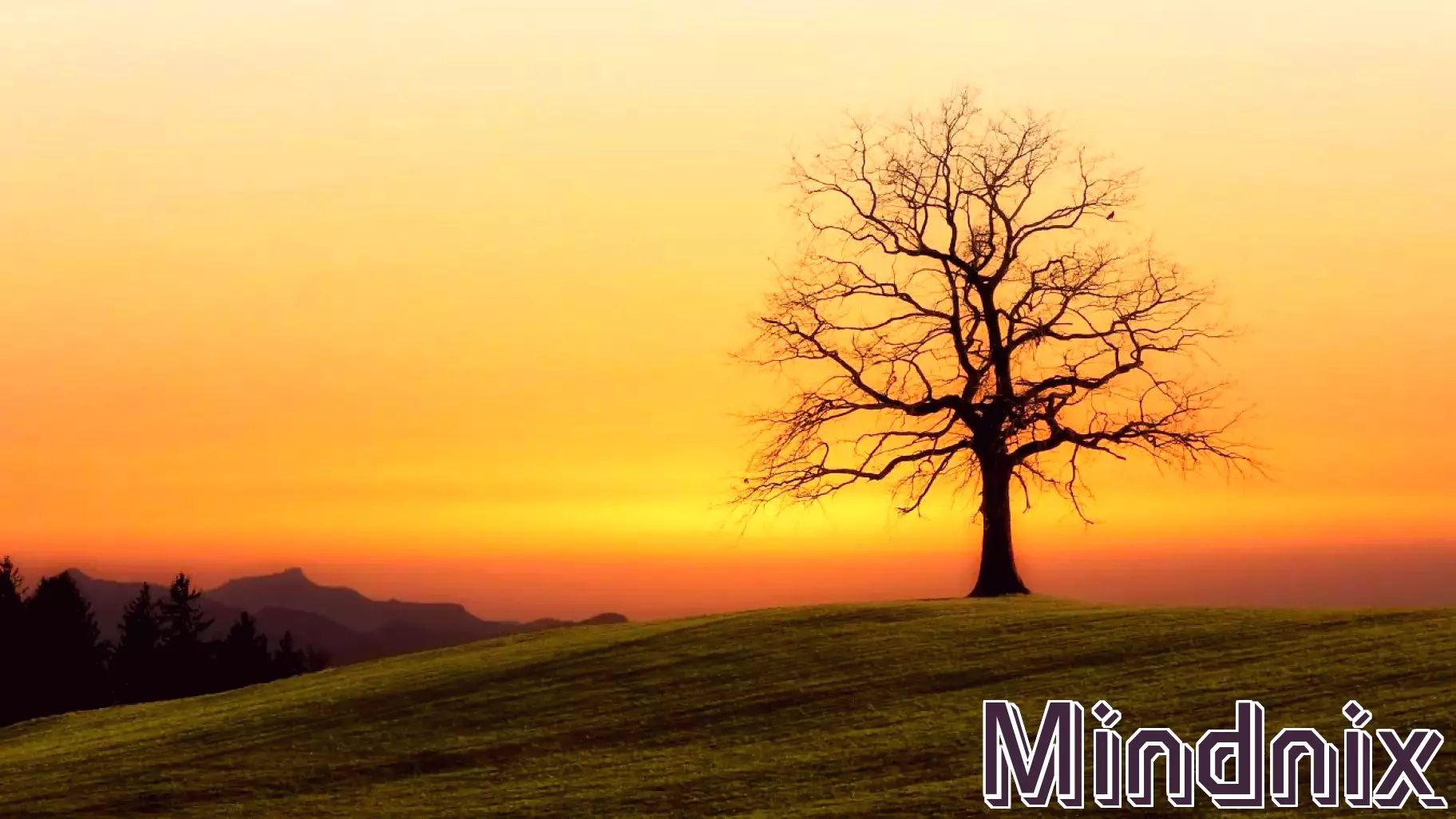 Embracing Awe: Unlocking Everyday Magic in Our Lives