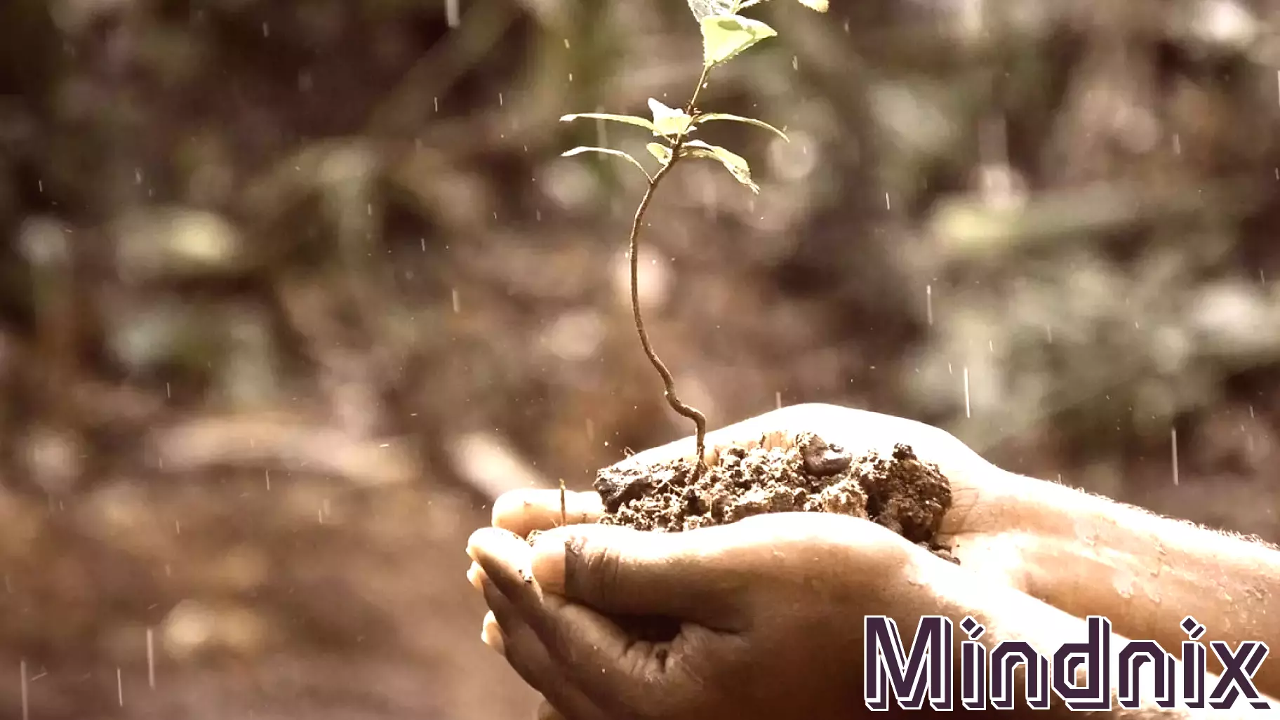 Embracing Hope Amidst Challenging Times
