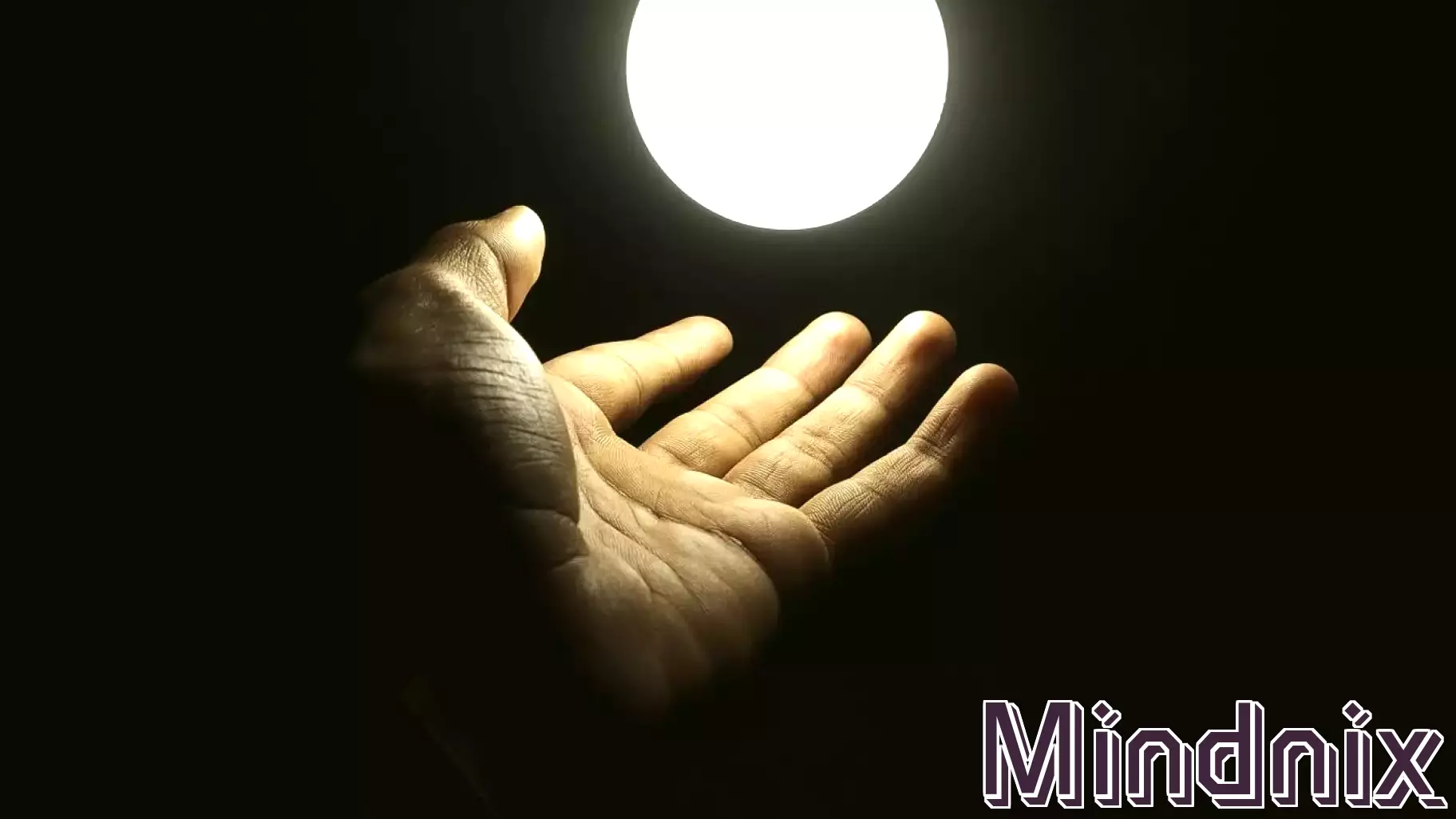 Finding Light in the Darkness: The Enduring Search for Meaning