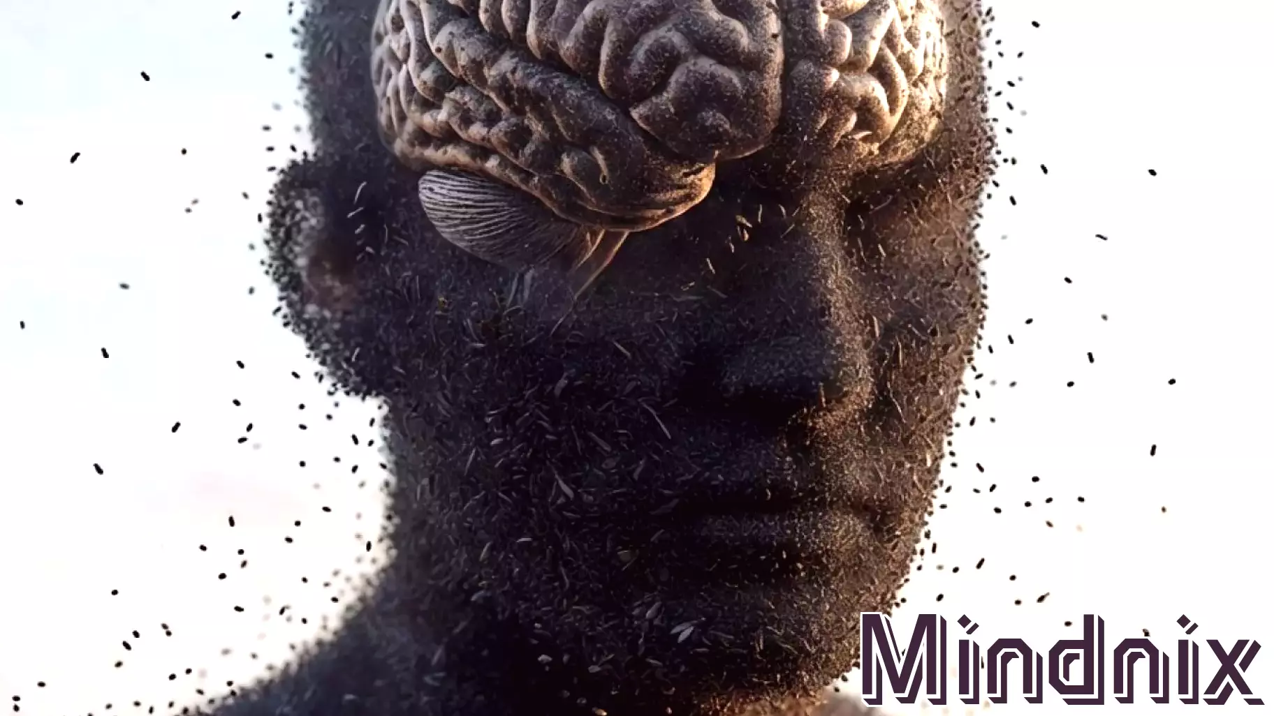 Simulation Hypothesis: Lessons From the Fruit Fly Brain Map