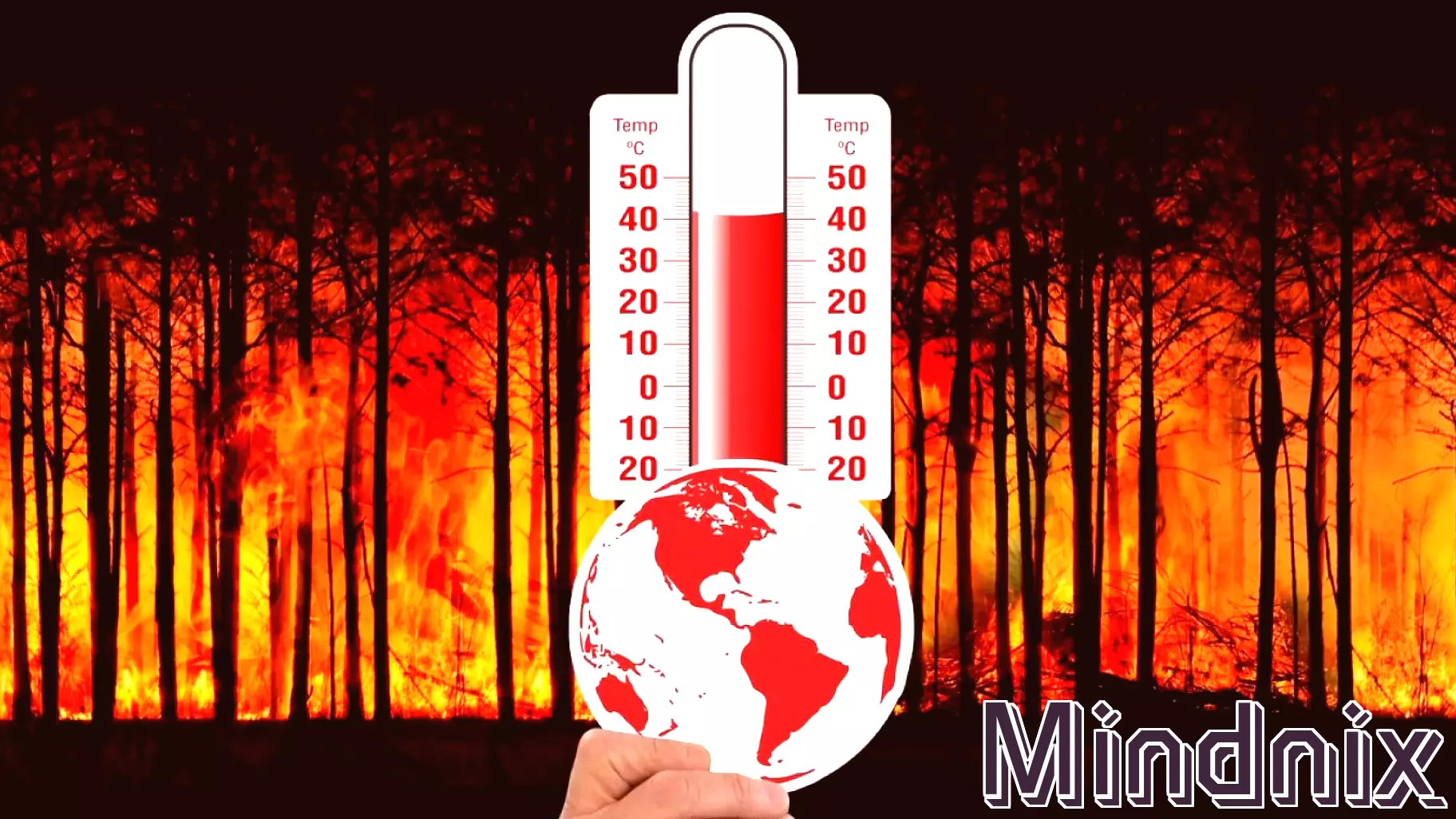 The Reality of Climate Change and Its Psychological Impact