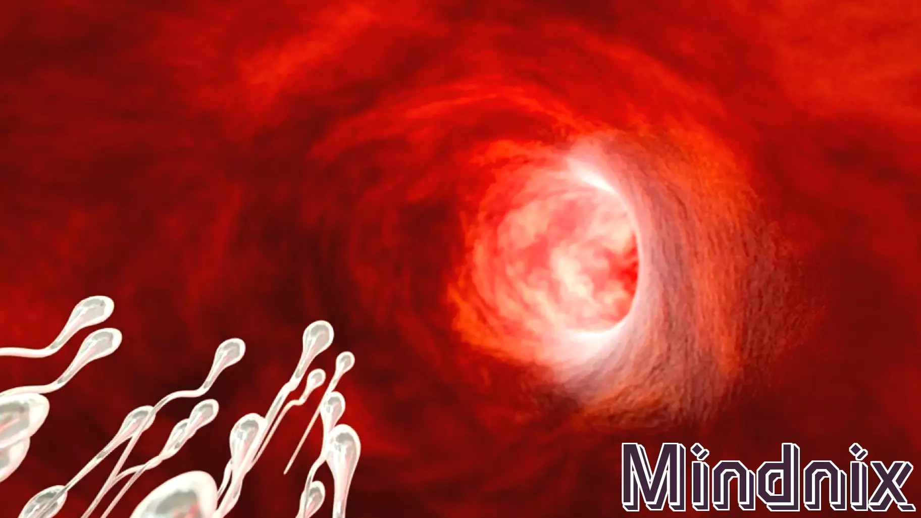 Why Is Sperm Racing a Thing?