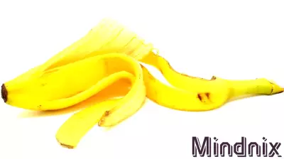 Beyond Description: Why AI Cannot Truly Understand Human Experience