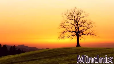 Embracing Awe: Unlocking Everyday Magic in Our Lives