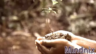 Embracing Hope Amidst Challenging Times