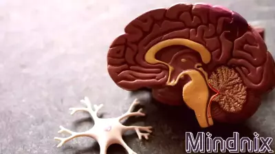 Investigating Dementia: Unequal Risks and Prevention Strategies