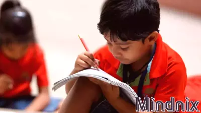 Preschool: A Crucial Stage for Early Brain Development