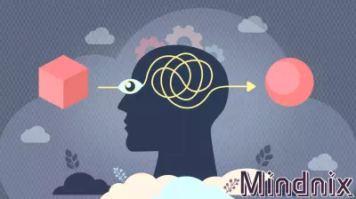 Rethinking Human Bias and Machine Intelligence