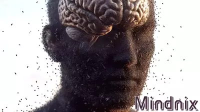 Simulation Hypothesis: Lessons From the Fruit Fly Brain Map