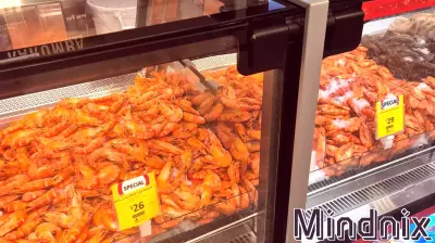 The Empathy Gap: Understanding Our Connection to Shrimp