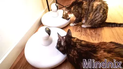 The Impact of Smart Home Technology on Pet Psychology