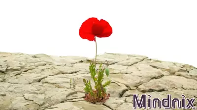 Understanding the Key Characteristics of Resilient Individuals