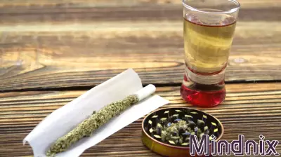 Understanding the Risks of Frequent Cannabis and Alcohol Consumption