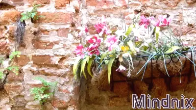 Why Normal Isn’t What You Think It Is